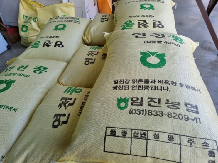  연천콩 메주콩 백태 연천콩선별 임진농협 농산물산지유통센터