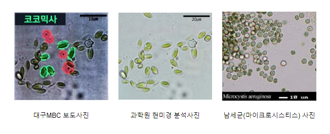 국립환경과학원은 수돗물필터 녹색물질의 실체를 확인하기 위한 모든 시험을 실시하였음 국립환경과학원은 수돗물필터 녹색물질의 실체를 확인하기 위한 모든 시험을 실시하였음