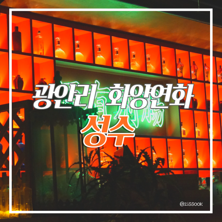  [광안리술집] 홍콩영화 속 한 장면을 그대로 옮긴 듯 한 멋진 오리엔탈 펍 ' 성수 '   ( 광안리 분위기 좋은 술집 여자친구와 마시기 좋은 맛있는 하이볼 추천)