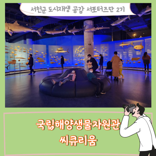  [서포터즈]서천여행 국립해양생물자원관 씨큐리움 겨울 실내 아이와 가볼만한곳 추천