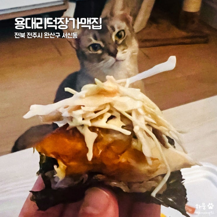 전주 서신동/중화산동 찹쌀전기구이치킨 맛집 용대리덕장가맥집