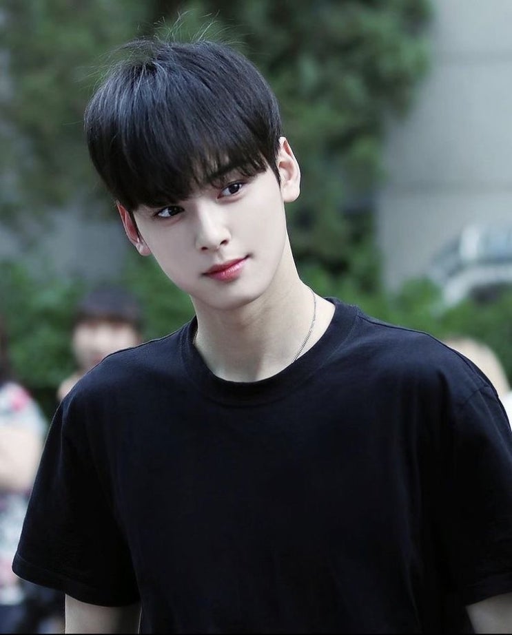  시스루 댄디컷 망하지 않는 법?!
