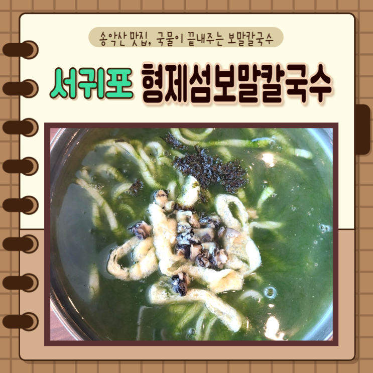  제주 서귀포) 송악산 맛집 형제보말칼국수