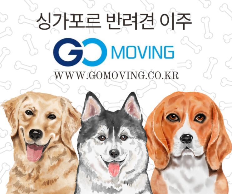  싱가포르 반려견 이주시 준비사항