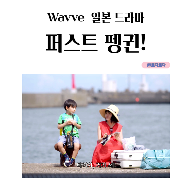 퍼스트 펭귄! 리뷰, 힘내고 싶을 때 보세요! 웨이브 일본 드라마 퍼스트 펭귄! 리뷰, 힘내고 싶을 때 보세요! 웨이브 일본 드라마
