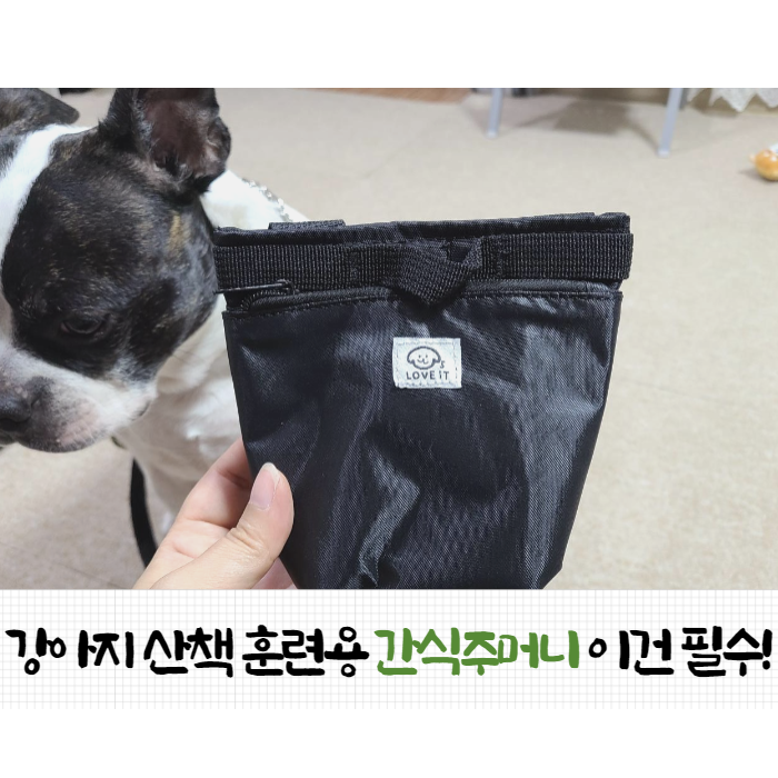  강아지 훈련용 간식주머니 가방 내돈내산 추천
