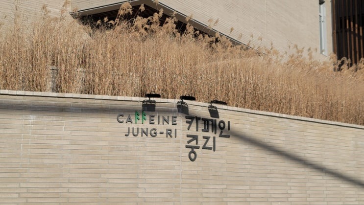 동탄2 브런치카페 "카페인중리" 브런치와 커피한잔의 여유 동탄2 브런치카페 "카페인중리" 브런치와 커피한잔의 여유
