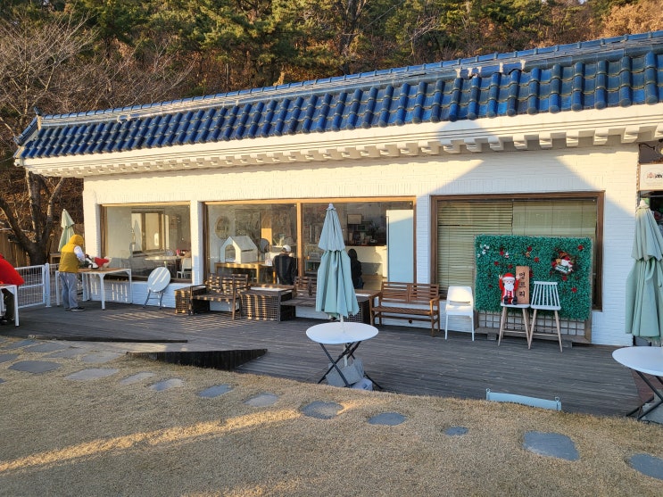  경남 김해 애견운동장 [멍프리]