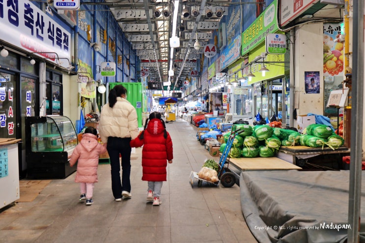  목포 낮에는 자유시장 밤에는 남진야시장 홍어 젓갈 먹거리