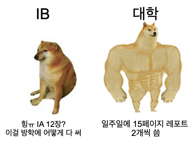  외국고 출신의 카이스트 1학년 1학기 후기