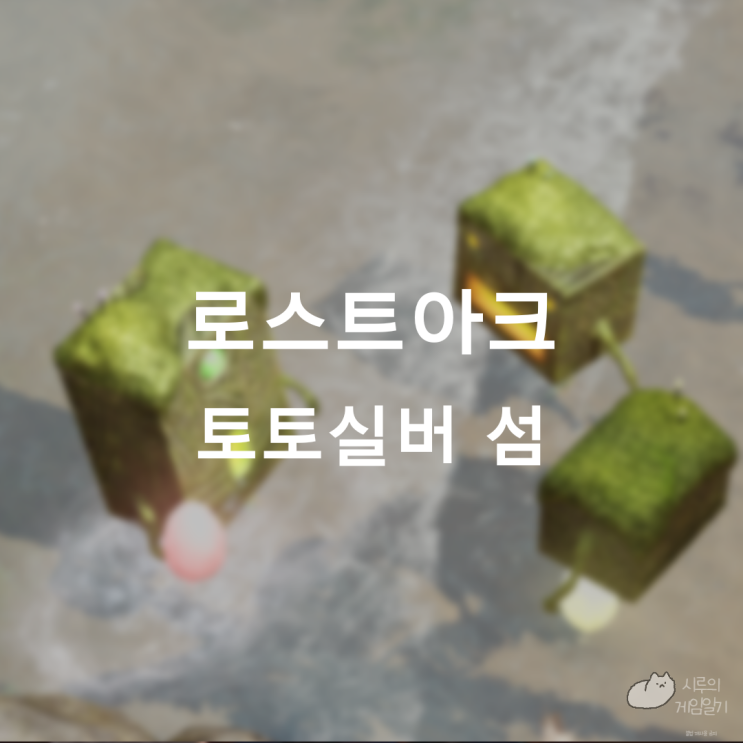  토토실버 섬의 마음 ＆ 모코코 로스트아크 로아