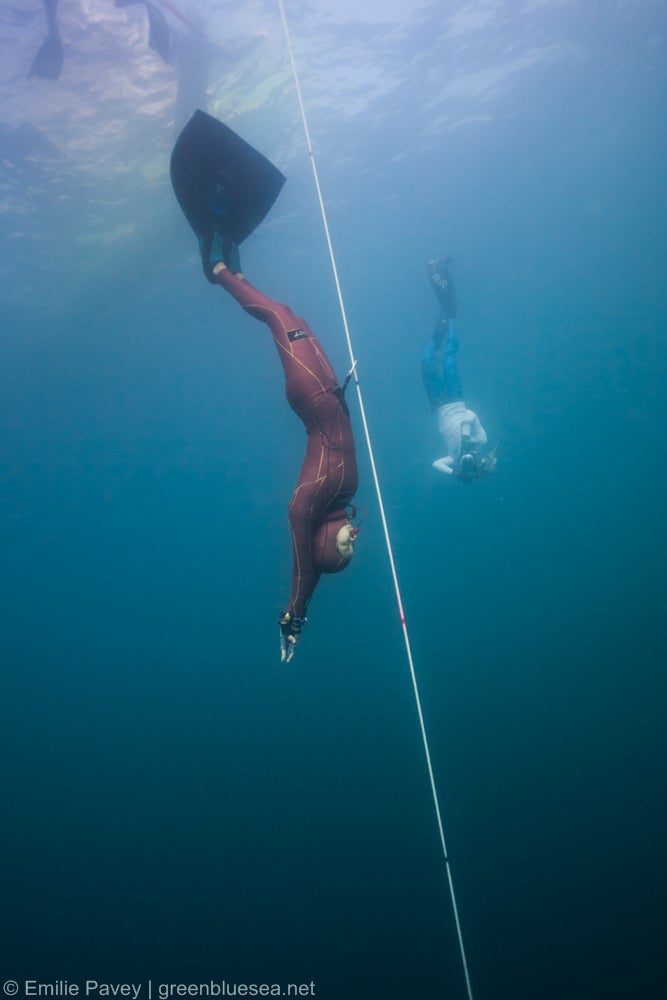 FREEDIVER 김선영