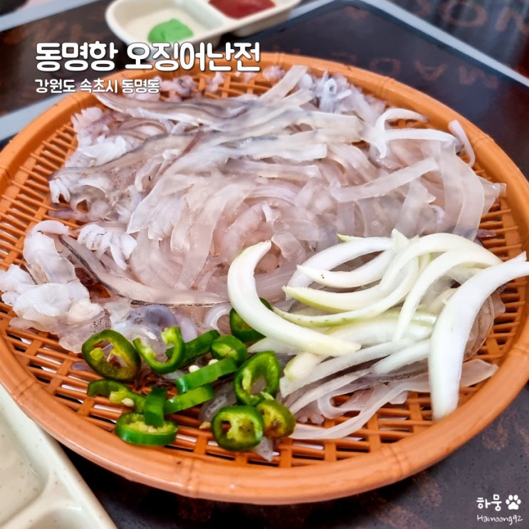  속초 동명항 오징어난전 회&물회 맛집 주차장 및 시간