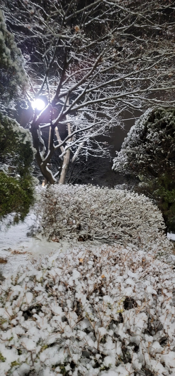  메리크리스마스! 산타클로스할아버지는 나에게도 선물을 주실까요?