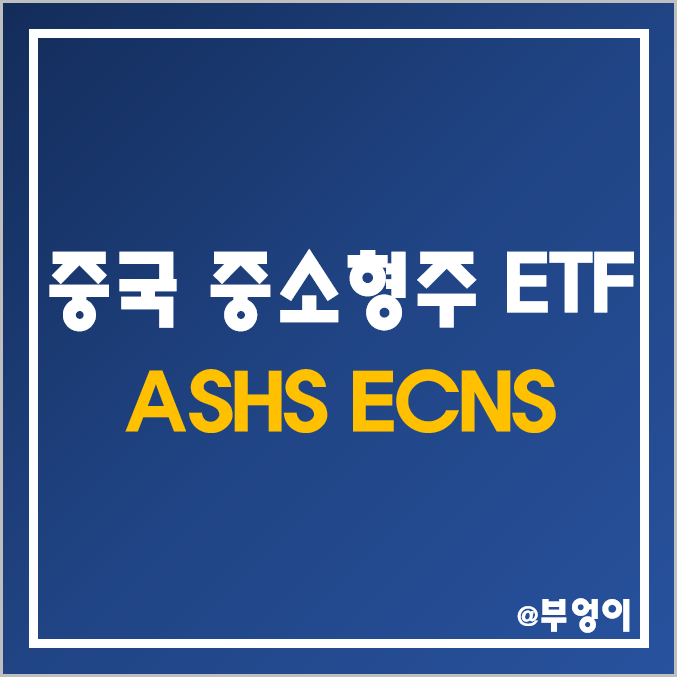 미국 상장 중국 주식 ETF - ASHS, ECNS 주가 (중국 증시 관련주 및 인덱스 펀드)