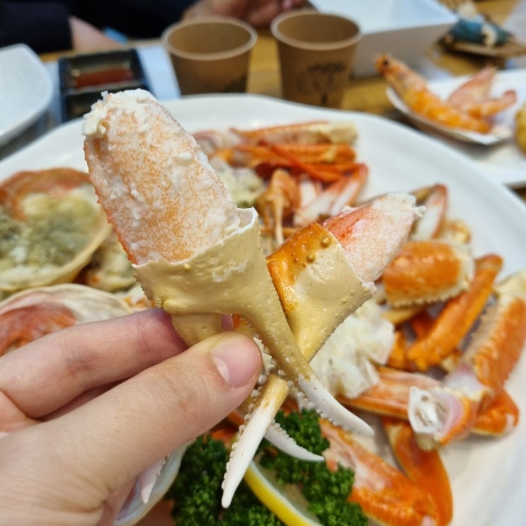  속초 대게 홍게 맛집, 명성게찜 내돈내산 후기