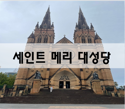  시드니 세인트메리대성당 크리스마스 라이트쇼[호주여행]