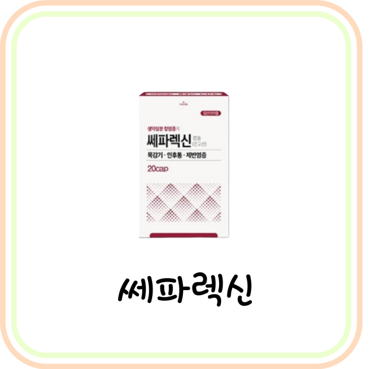  [약국 목감기 약] 쎄파렉신 캡슐 성분 및 효능 (# 코로나 인후통, 은교산, 안티캄)