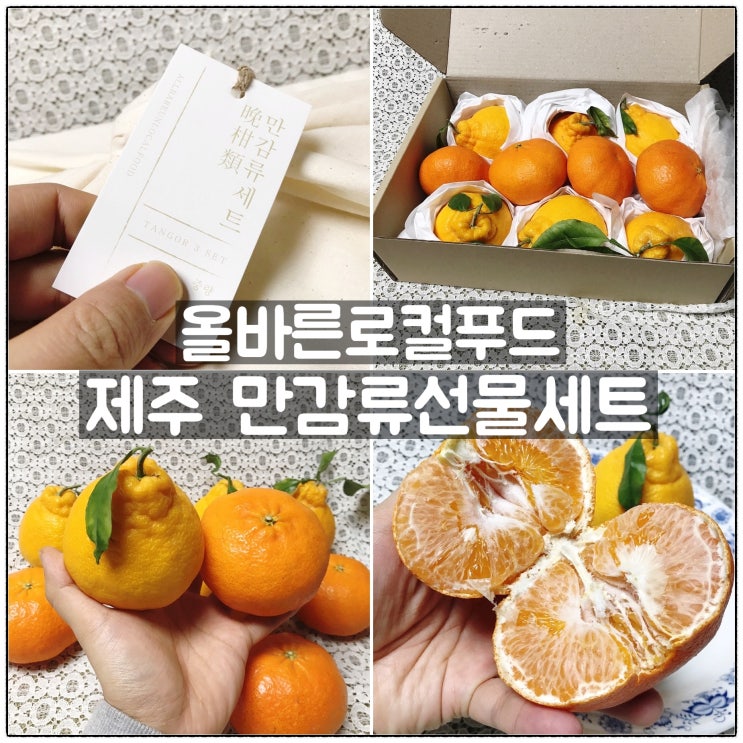 올바른로컬푸드 제주 만감류 과일 선물세트 맛 후기