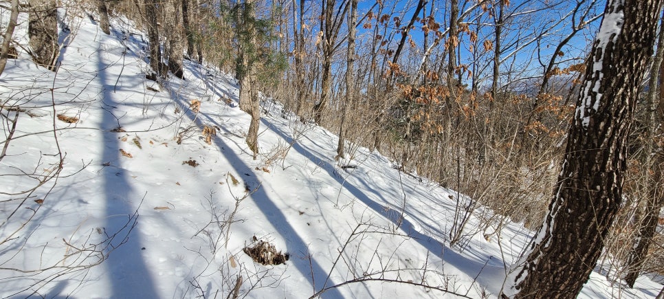 구치산 사진 5