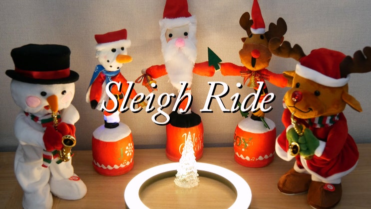 Sleigh Ride, Merry Christmas Carol, Flute Cover 크리스마스 캐롤 플룻연주, 플루티스트 왕성자