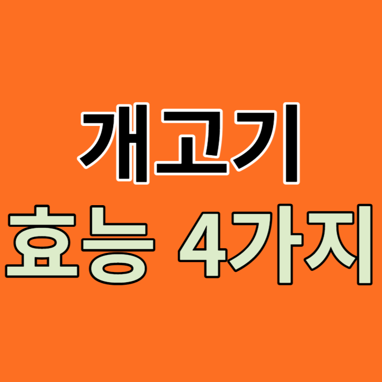  개고기 효능에 대해 알아보아요