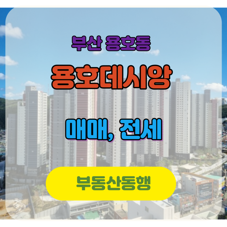  용호데시앙 59타입 최저가 전세 & 매매 물건 소개합니다