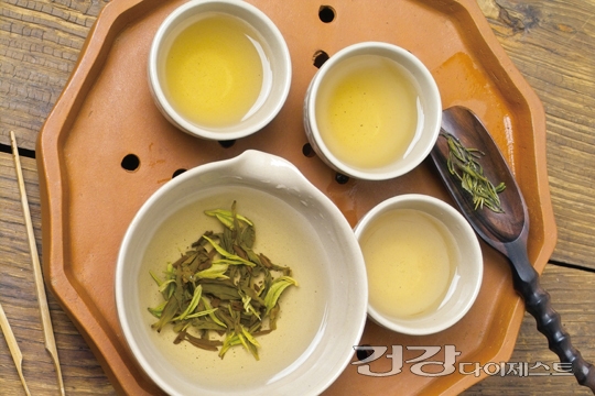 과학으로 밝혀낸 녹차 효능 10가지 과학으로 밝혀낸 녹차 효능 10가지