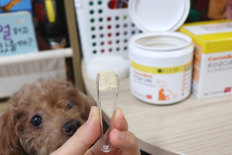 종근당 캐롯벨 강아지 유산균 반려견을 위한 선택!