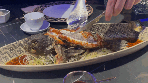  잠실 가족모임 / 연말보임 룸 중식당  - 모던눌랑 라이브 잠실점 12만원 디너 코스 ( live fish dinner) 후기