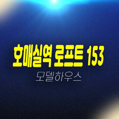 호매실역 로프트153 금곡동 쓰리룸 아파텔 복층 주거공간 회사보유분 분양!