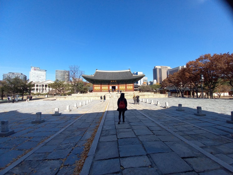 [문화유산 관람] 덕수궁을 구경했습니다.(중화전, 정관헌, 함녕전 등)
