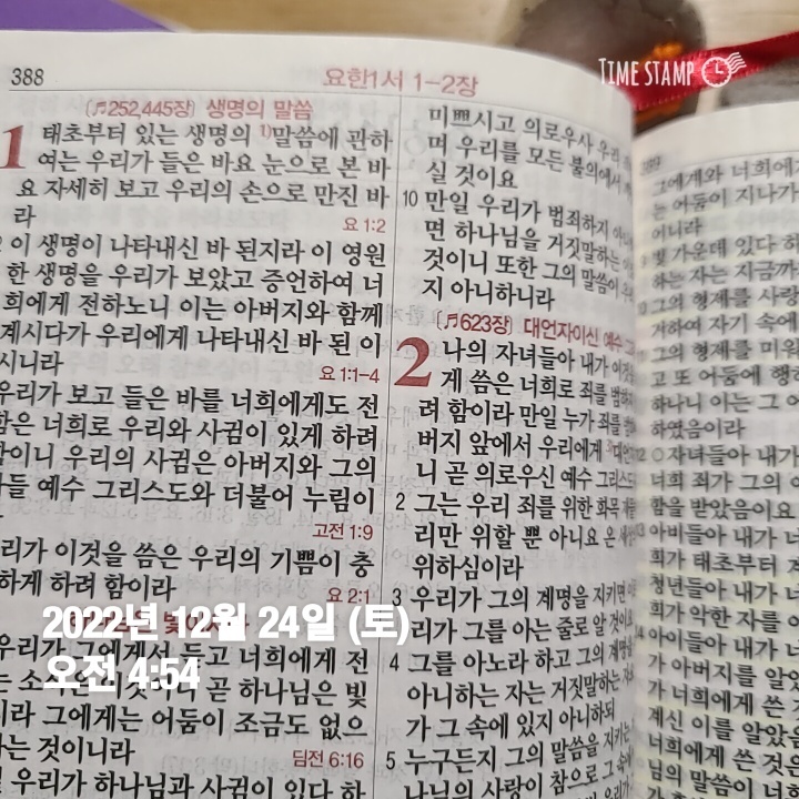  12월 크리스마스 이브-358
