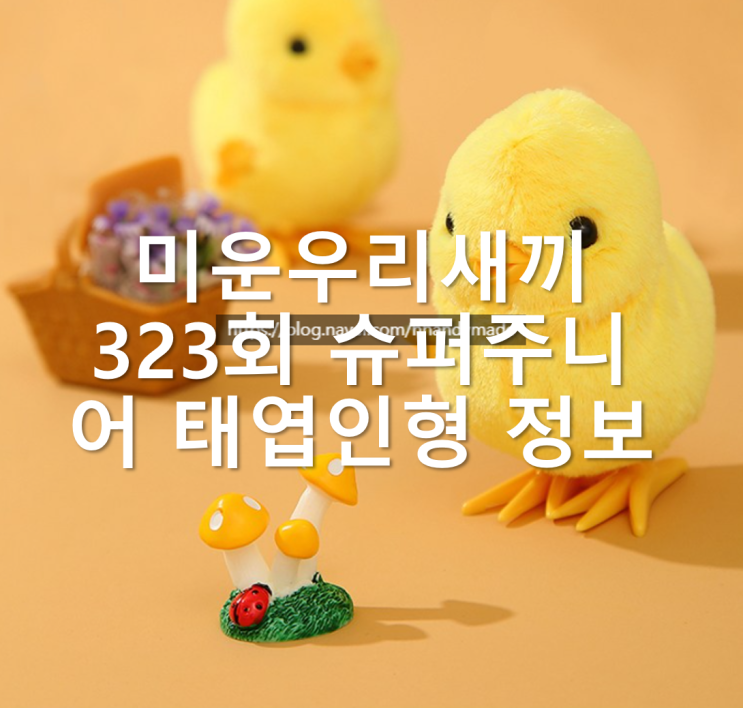  미운우리새끼 323회 슈퍼주니어 병아리 태엽인형 용품 정보