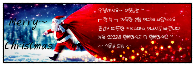  ~ 메리 크리스마스 ~