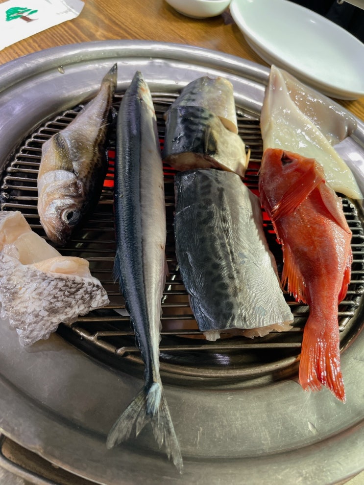  [속초 맛집 | 88생선구이 낮술 찐 후기 | 메뉴 총 집합 | 생선종류 | 가격 | 위치  ]