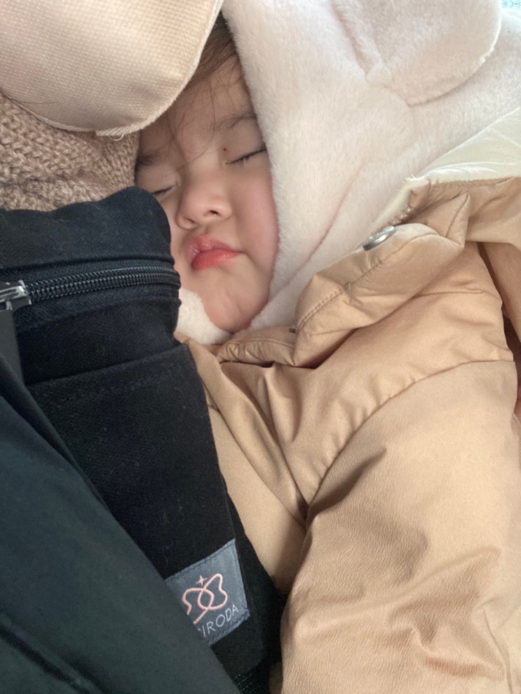  라라.일상 2022 12 22-23 크리스마스기념 1박2일 1편 (글래드강남코엑스 호텔 / 코엑스 더플레이스 )