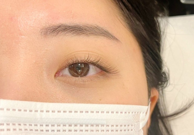 신사역 속눈썹 '어바웃라인'에서 자연스러운 브라운 JC컬연장 신사역 속눈썹 '어바웃라인'에서 자연스러운 브라운 JC컬연장