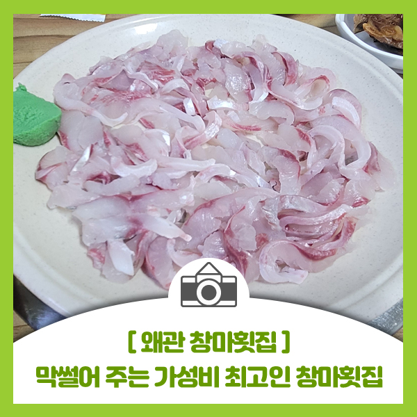  [왜관 맛집 창마횟집] 막썰어 주는 가성비 최고인 창마횟집
