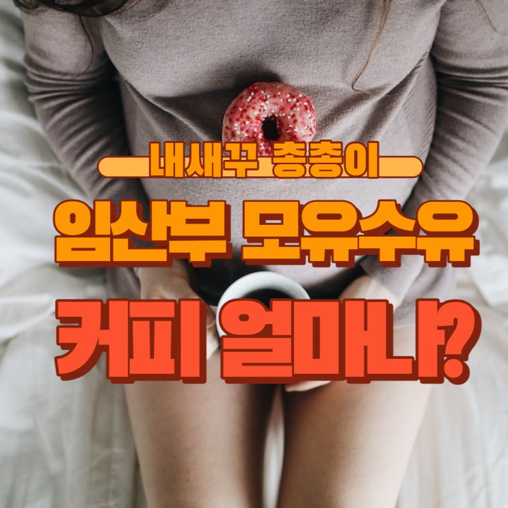 임산부 카페인 얼마나 마실수 있나요? 모유수유 커피 임산부 선물 추천 루이보스티