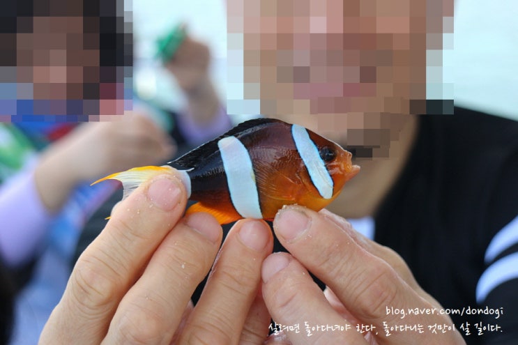  세부 호핑투어(Hopping tour)의 모든 것 3/3 - 올랑고 섬(Olango Island) 바다낚시