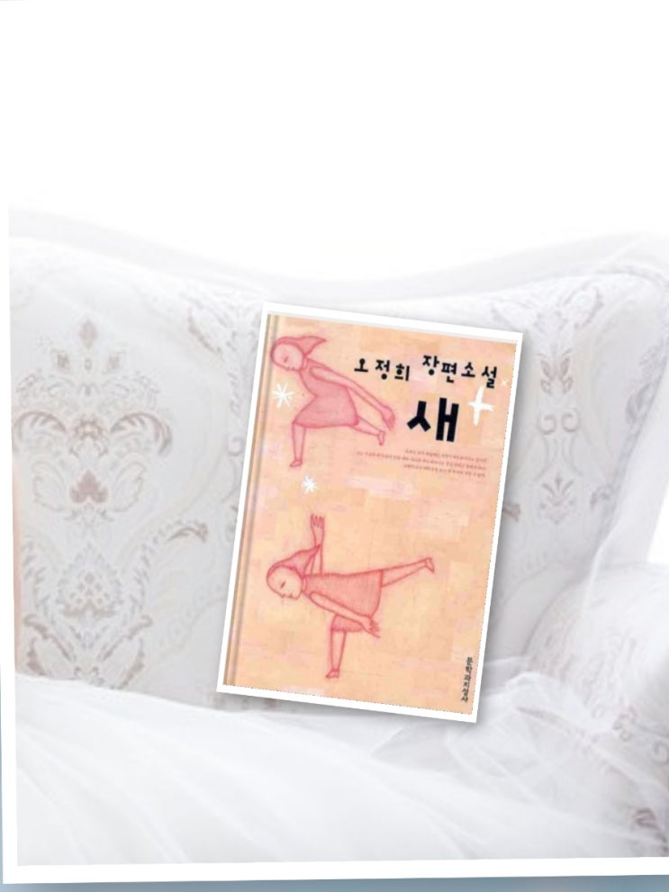  새~ 오정희 장편소설