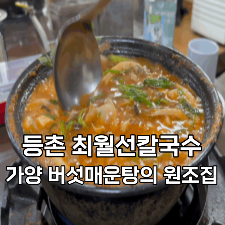 최월선칼국수, 등촌 버섯매운탕 맛집, 해장에 딱이었던 곳!