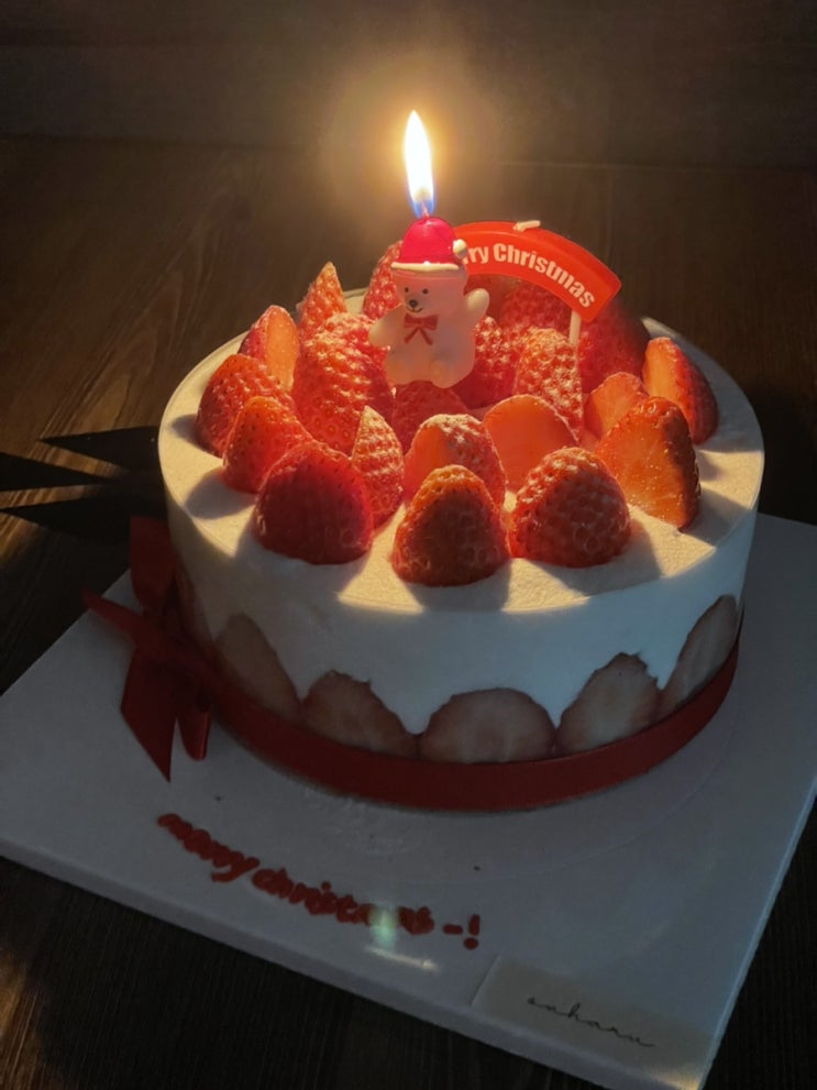  부산에서 보내는 크리스마스️