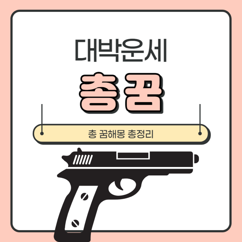 총쏘는 꿈해몽 관련 의미