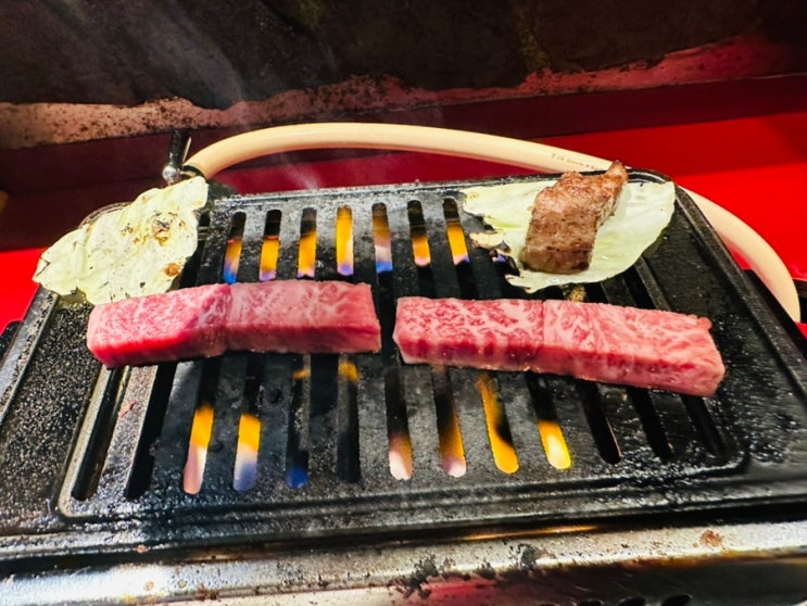  도톤보리 야끼니꾸맛집 바리바리 baribari 가성비있고 엄청 맛있어
