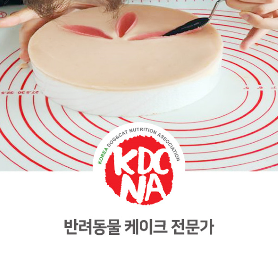  최수연펫푸드아카데미 반려동물 케이크 자격증 교육 안내 [한국반려동물영양협회/펫베이커리/펫푸드자격증/강아지케이크/수원/안성/안산_1057]