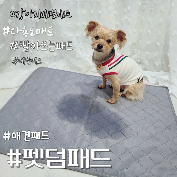  강아지 배변매트,빨아쓰는 다용도 애견패드 펫덤