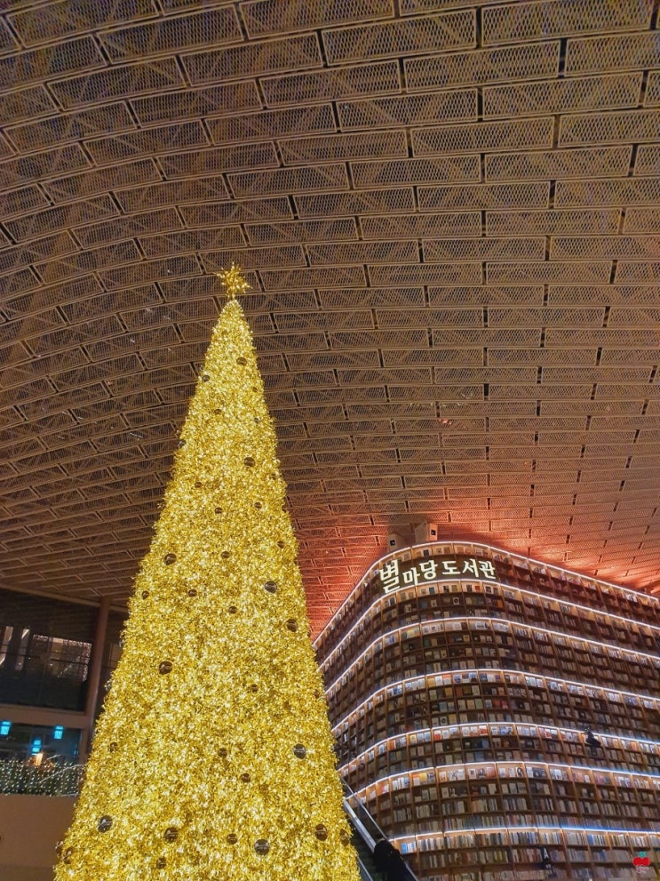  코엑스 이곳저곳 탐방하기~(샤브촌by계백집, 별마당 도서관 골드트리, 다이소, 버터)