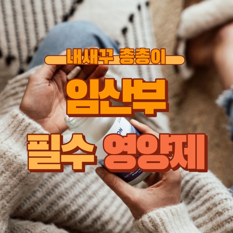  임산부 임신준비 필수 영양제 음식 비타민 주의사항